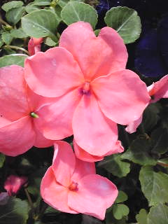 110713_150407.jpg